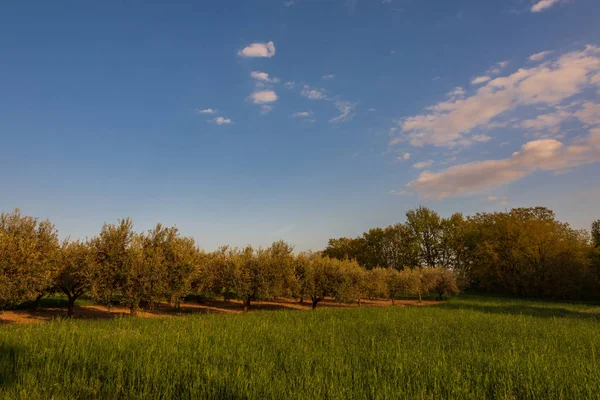 Campania Felix Panorama Primaveril — Foto de Stock