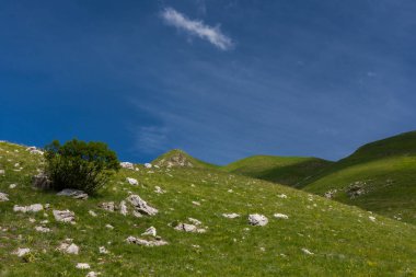 Molise, Mainarde. La catena montuosa delle Mainarde si estende lungo il confine tra Molise e Lazio, con prevalenza nel territorio molisano. Bir bariyer, doğal bir molto rocciosa e dall 'aspetto as pro e selvaggio.
