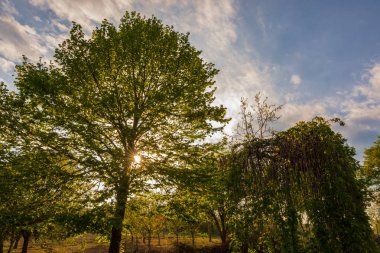 Campania Felix, panorama primaverile