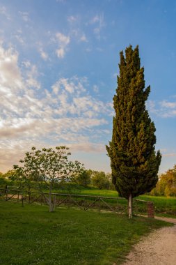 Campania Felix, İtalya. Güney İtalya 'nın en güzel yerlerinden birinin muhteşem manzarası. Adı da antik Romalılar olan Campania Felix..