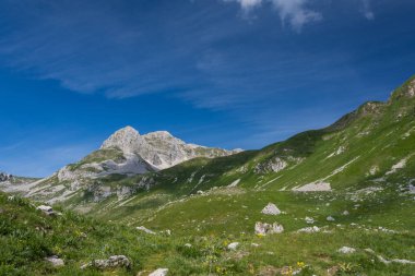 Molise, Mainarde. Mainarde sıradağları Molise ve Lazio arasındaki sınır boyunca uzanır ve Molise bölgesinde yaygınlık la birliktedir. Bu engebeli bir yönü ile çok kayalık doğal bir bariyer.