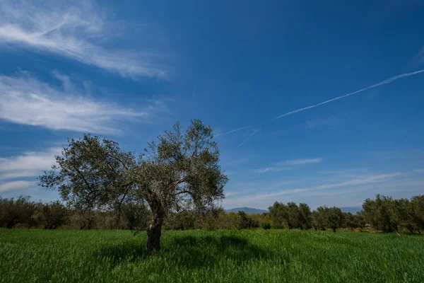 Campania Felix Italia Maravillosa Vista Uno Los Sitios Más Bellos — Foto de Stock