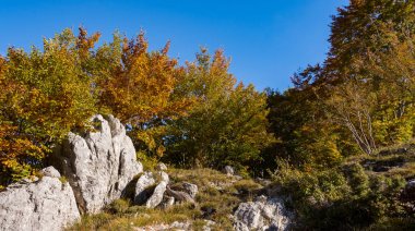 Monte Amaro' da. Abruzzo'nun orta Apeninleri'nde, Gran Sasso'dan sonra apeninlerin en yüksek ikinci dağ masifi olan Majella'nın bir parçasıdır..