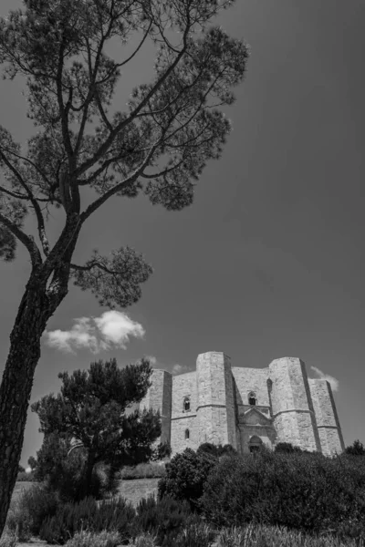 アンドリア プーリア モンテの城 モンテ城 Castel Del Monte ローマ帝国皇帝フリードリヒ2世がプーリア州マーゲ西部の台地に建てた13世紀の要塞である — ストック写真