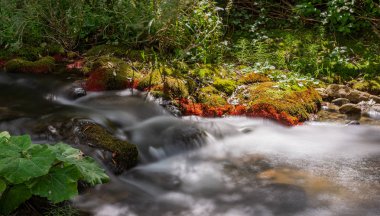 Borrello, Chieti, Abruzzo. Bölgesel Doğal Rezerv ve WWF OASIS Cascate del Verde. 2001 yılında kurulan ve yaklaşık 287 hektarlık bir alanı kapsayan koruma altındaki doğal bir alan..