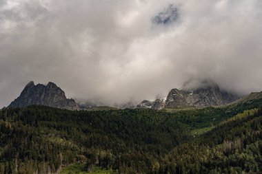 Chamonix Mont Blanc. Yaz manzarası