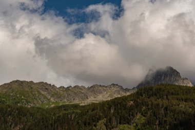 Chamonix Mont Blanc, Fransa. Mont Blanc kümesi.