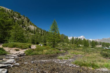 Morgex (Aosta), harika Arpy Gölü, buzul kökenli bir ayna, güzel bir dağlık alana kurulmuştur..