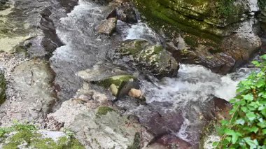 Milyonlarca yıl boyunca, Orfento Nehri (Caramanico Terme belediyesinde) söğütler, eğreltiotları ve yosunların yer aldığı yoğun nehir bitkileriyle kaplı dar bir vadi oluşturdu..