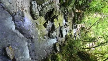 Milyonlarca yıl boyunca, Orfento Nehri (Caramanico Terme belediyesinde) söğütler, eğreltiotları ve yosunların yer aldığı yoğun nehir bitkileriyle kaplı dar bir vadi oluşturdu..