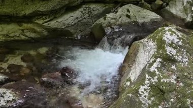 Milyonlarca yıl boyunca, Orfento Nehri (Caramanico Terme belediyesinde) söğütler, eğreltiotları ve yosunların yer aldığı yoğun nehir bitkileriyle kaplı dar bir vadi oluşturdu..