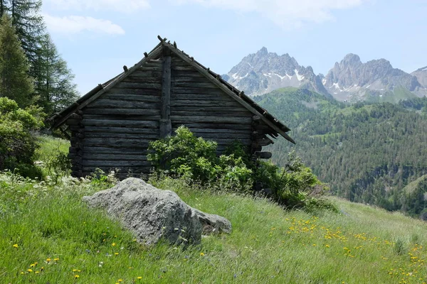 Fransız alps
