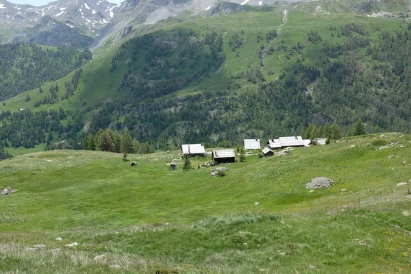 Fransız alps