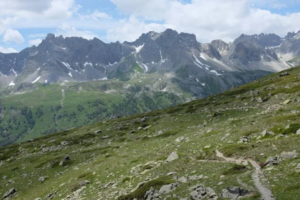 Fransız alps