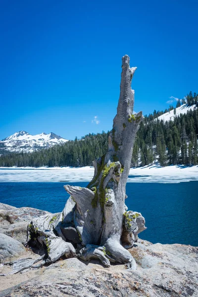 Stump, lac, nuages et neige — Photo