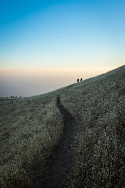 Tamalpais dağ iz