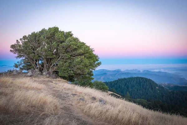 San Francisco'dan Tamalpais dağ
