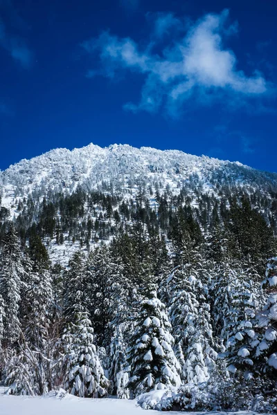 lake tahoe yakınındaki dağ