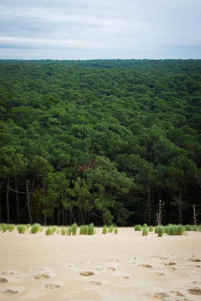 Dune du Pilat