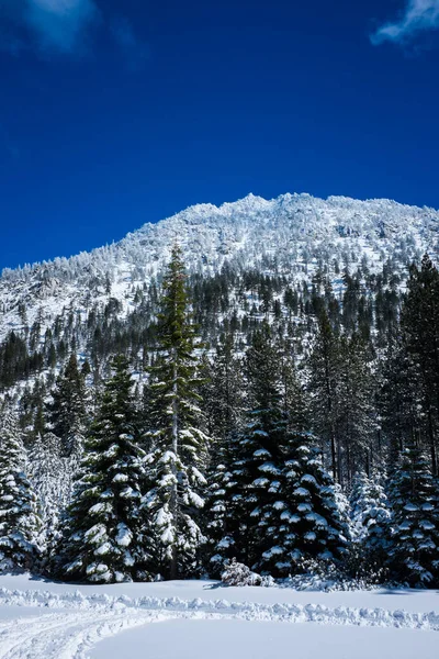 Mountain near Lake Tahoe Royalty Free Stock Photos
