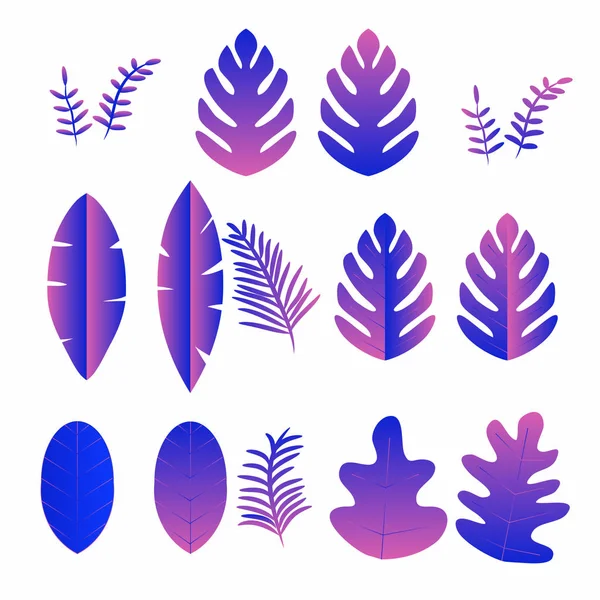Набор Фиолетовых Тропических Листьев Белом Фоне — стоковый вектор