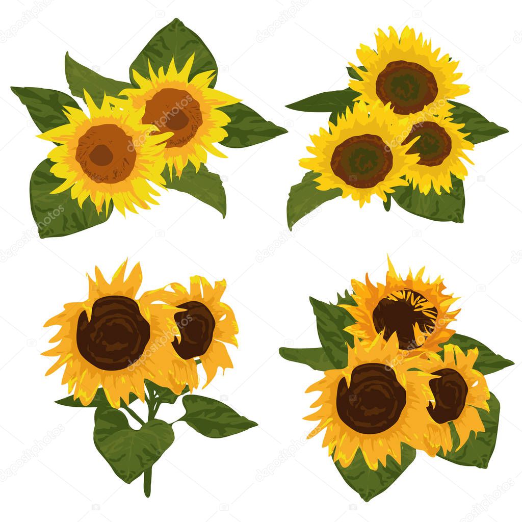 Set of sunflower bouquet with leaf illustration isolated on white background