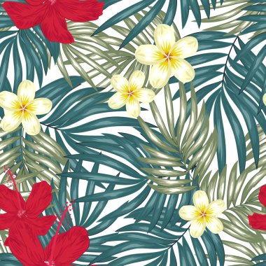 Frangipani, ebegümeci ve tropikal yaprak lar deseni