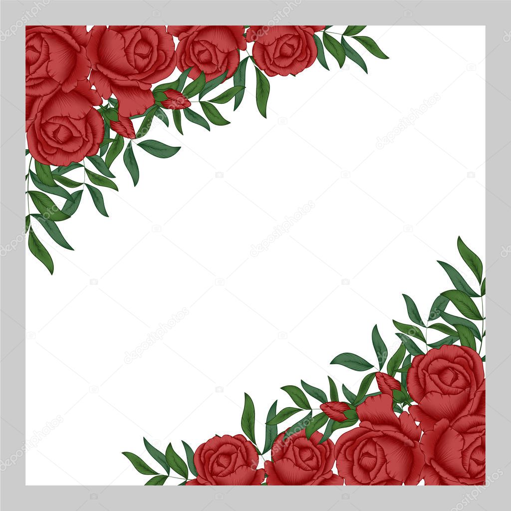 Floral frame with red roses on white background 