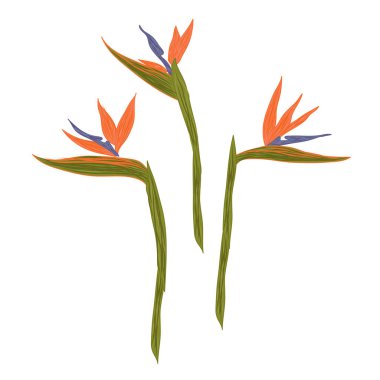 cennet çiçek kuş karikatür vektör illüstrasyon