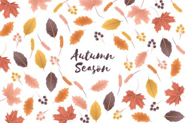 Sonbahar yaprağı illüstrasyon ile sonbahar sezonu arka plan 