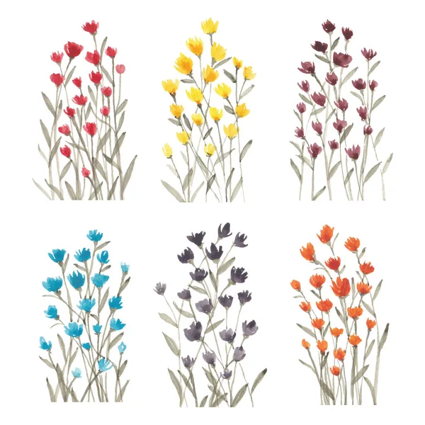 Aquarell Bunte Wildblumen Illustration Set — Stockvektor