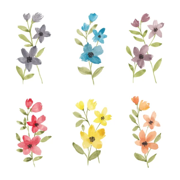 Bunte Wildblumen Illustration Aquarell Sammlung — Stockvektor