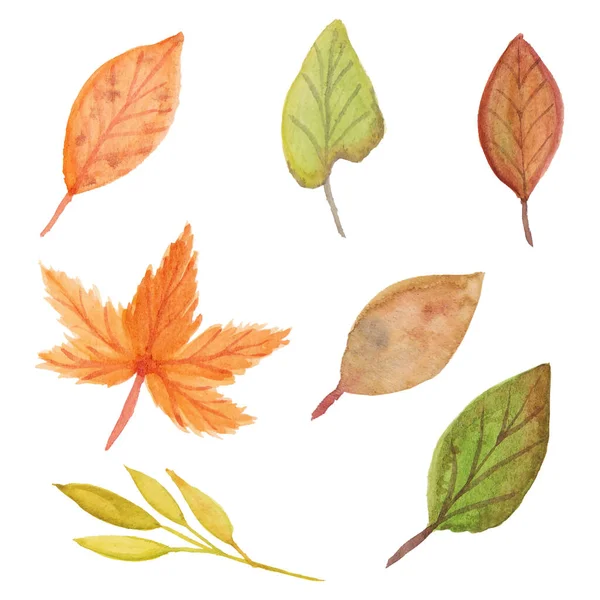 Collection Autumn Watercolor Leaf — Stock Vector