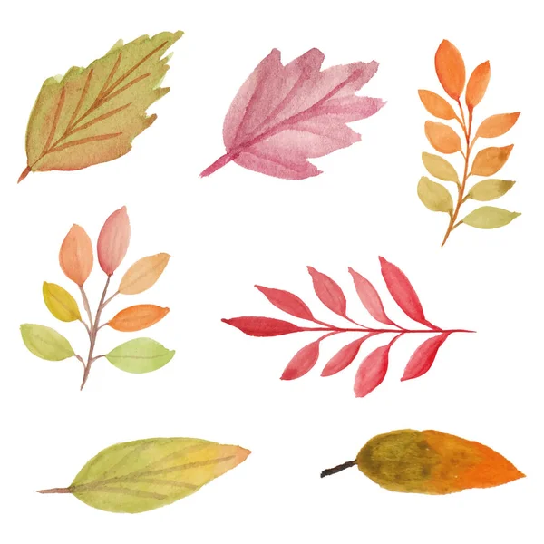 Acuarela Otoño Hoja Ilustración Pack — Vector de stock