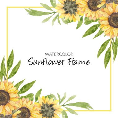 Hand painted watercolor sunflower floral frame vector