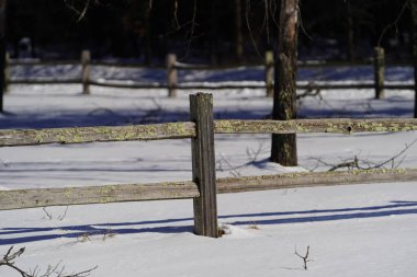 Kış ormanında bir çit.