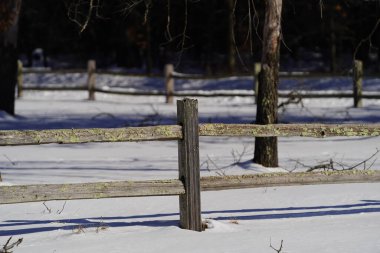 Kış ormanında bir çit.