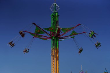 New York şehrindeki atlı karınca.