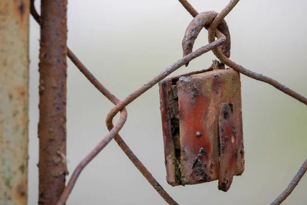 A rusty padlock hanging from a fence — Stock Photo, Image