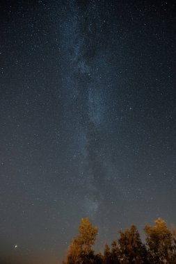 Samanyolu ağaçların yukarıda