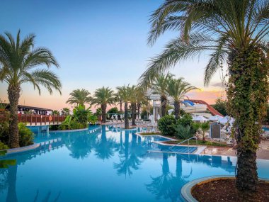 Rüya gibi bir ortamda palmiye ağaçları