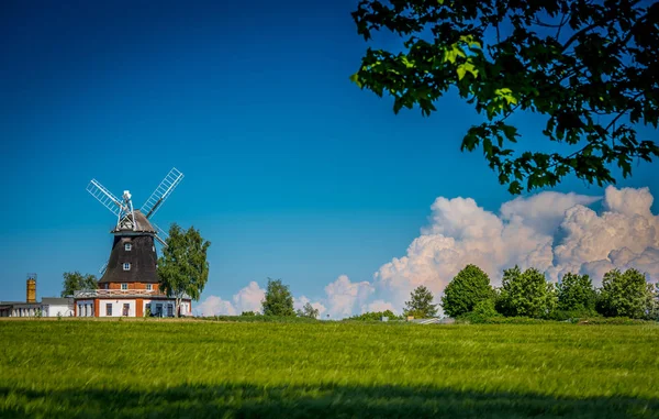 Windmolen in het voorjaar van achter een graan-veld — Stockfoto