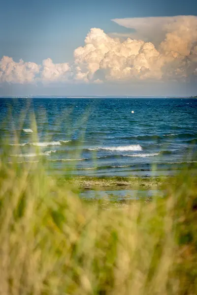 a narrow path leads to the beach from the sea