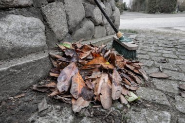 ok açılı tipler yaprak yığını