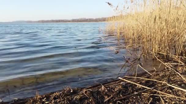 Water Spatten Aan Oever Van Een Meer — Stockvideo