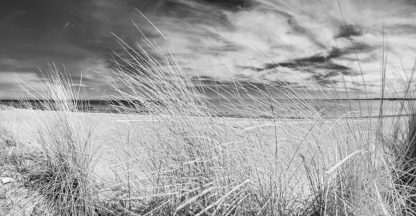 Blick auf den Ostseestrand in Boltenhagen — Stockfoto