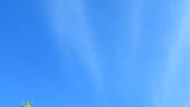 Una Luna Creciente Mueve Largo Del Cielo Azul Sin Nubes — Vídeo de stock