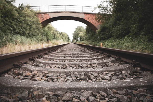 A régi vasúti pályák a horizonthoz vezetnek — Stock Fotó