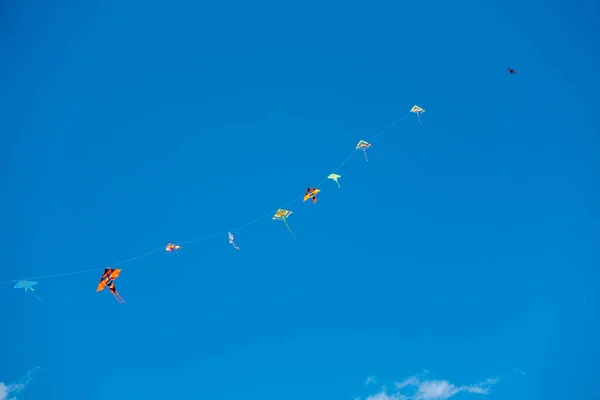 Bunte Stuntdrachen fliegen in den blauen Himmel — Stockfoto