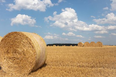 yuvarlak saman balya tahıl hasat sonra alanda yalan